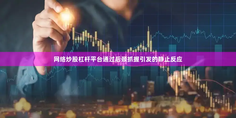 网络炒股杠杆平台通过后颈抓握引发的静止反应